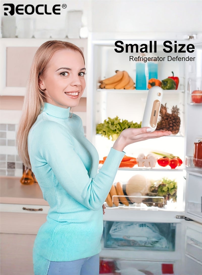 ريوكل جهاز تنقية هواء ثنائي السرعة مع بطارية 1200 مللي أمبير/ساعة وفلتر كربون قابل للغسل، مزيل روائح مدمج يعمل بهدوء، مناسب للثلاجة وخزانة الأحذية ومنطقة الحيوانات الأليفة. - Image 2
