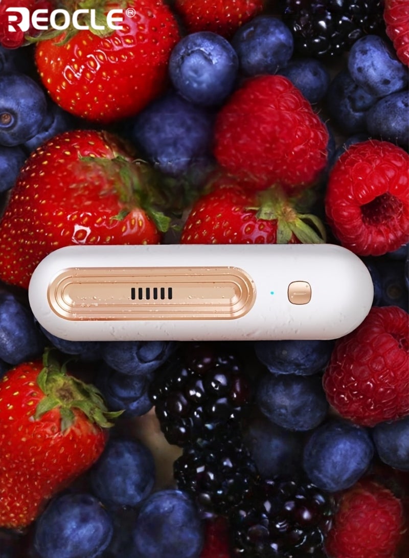 ريوكل جهاز تنقية هواء ثنائي السرعة مع بطارية 1200 مللي أمبير/ساعة وفلتر كربون قابل للغسل، مزيل روائح مدمج يعمل بهدوء، مناسب للثلاجة وخزانة الأحذية ومنطقة الحيوانات الأليفة. - Image 3