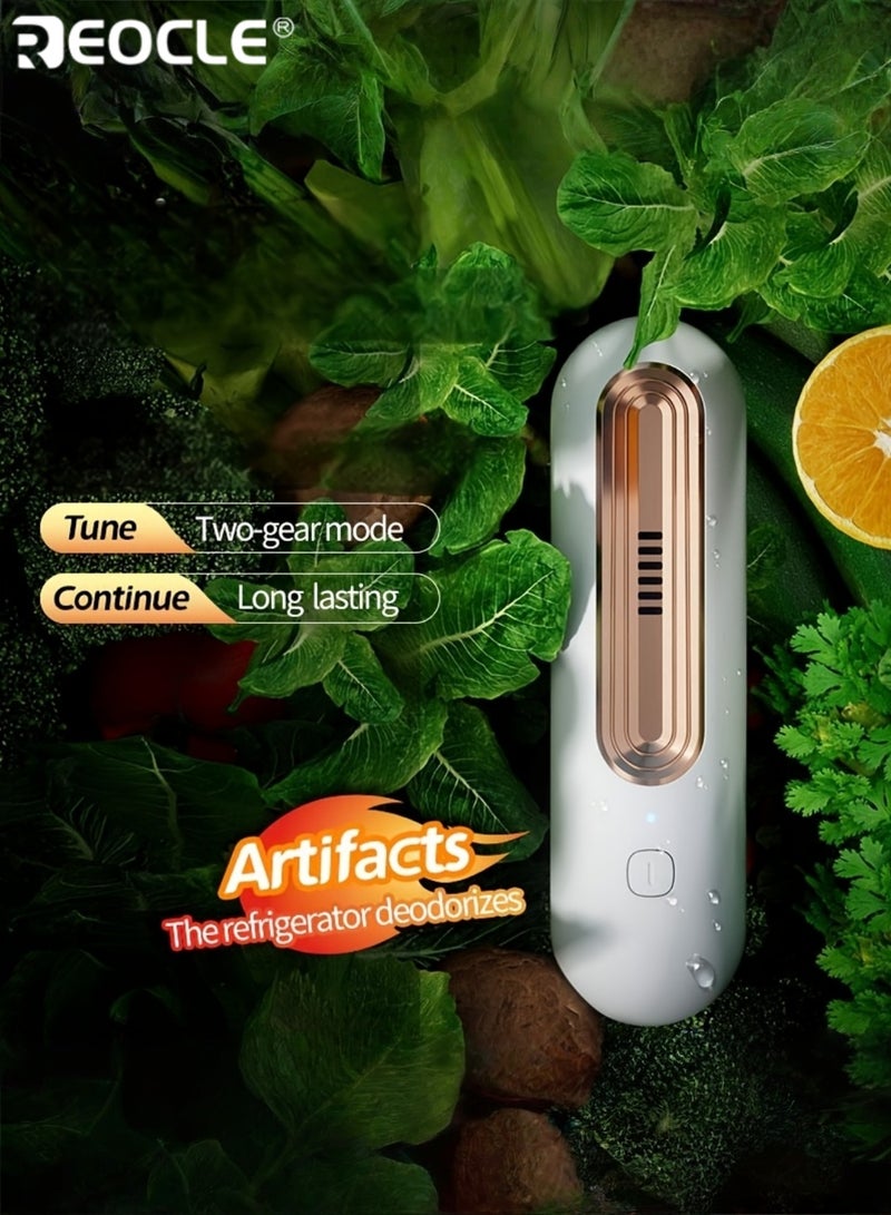 ريوكل جهاز تنقية هواء ثنائي السرعة مع بطارية 1200 مللي أمبير/ساعة وفلتر كربون قابل للغسل، مزيل روائح مدمج يعمل بهدوء، مناسب للثلاجة وخزانة الأحذية ومنطقة الحيوانات الأليفة. - Image 4