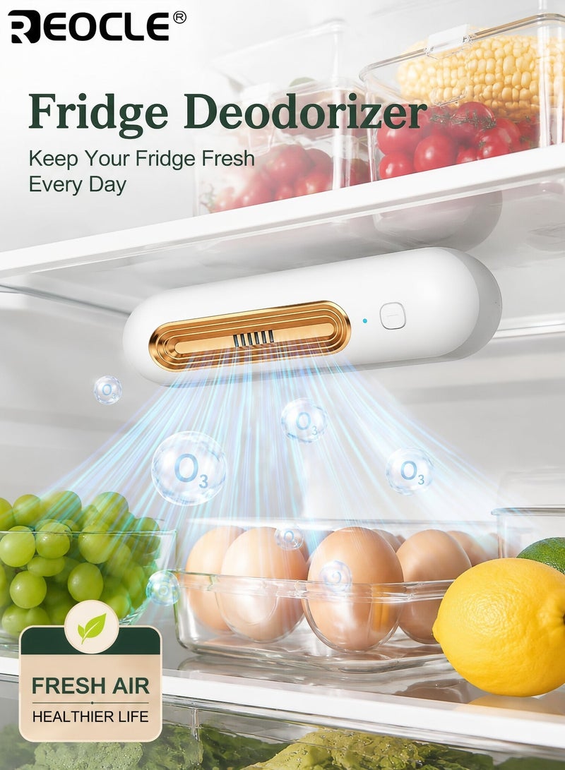 REOCLE Dual Speed Air Purifier with 1200mAh Battery and Washable Carbon Filter Compact Odor Eliminator with Quiet Operation for Refrigerator Shoe Cabinet Pet Area Use - Image 1