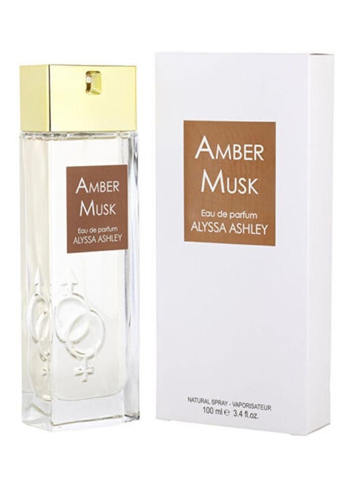 ALYSSA ASHLEY Alyssa Ashley Amber Musk Eau De Parfum Spray 100ml  - Image 2