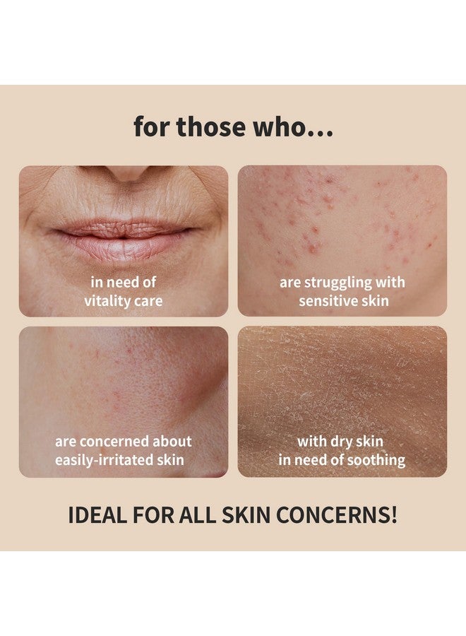 BENTON Snail Bee High Content Skin (Toner) - Snail Mucin Toner, Snail Mucin Essence Toner, Bee Venom Korean Toner, Korean Skin Care Snail Toner, Face Skin Care Snail Essence, Snail Mucin Moisturizer - Image 2