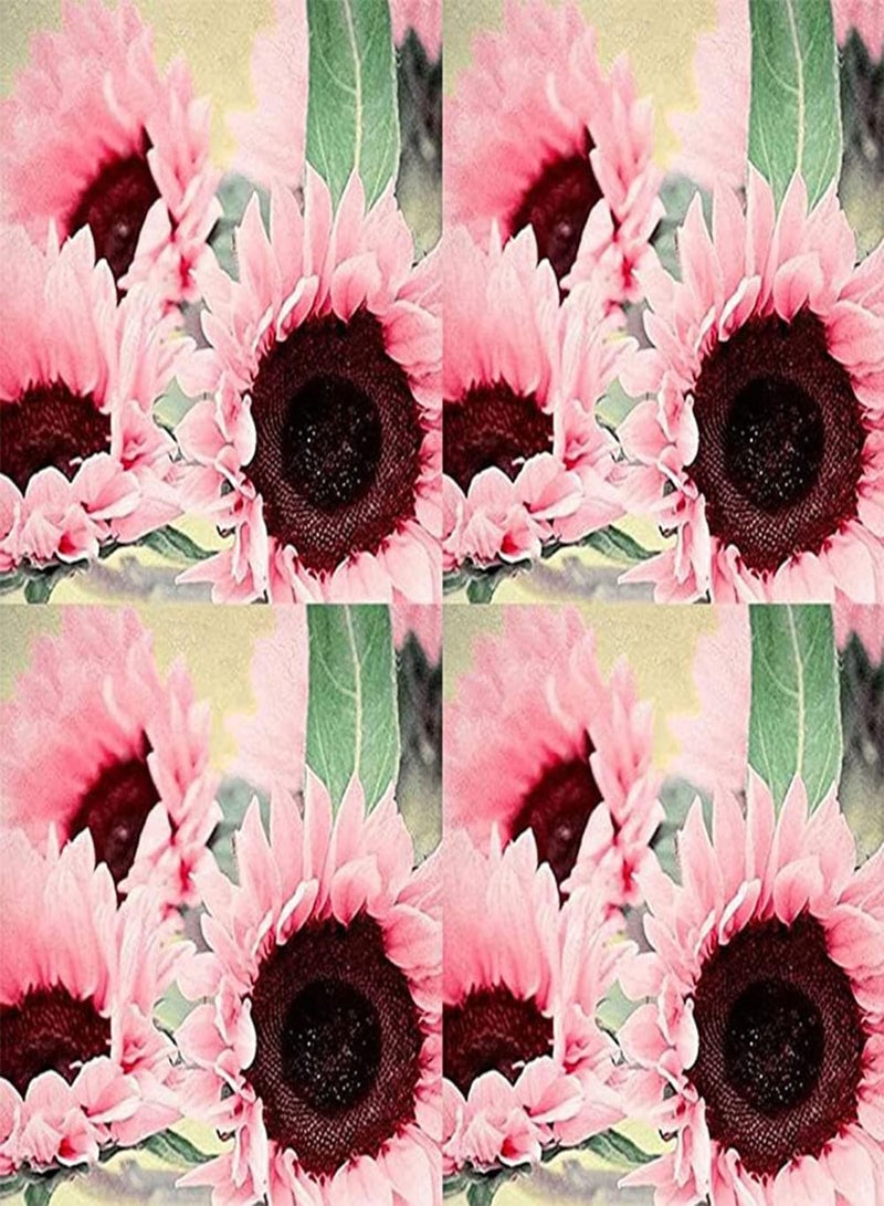 جي جوت مجموعة أدوات حديقة منزلية من ١٠٠ بذور دوار الشمس وردية اللون | نباتات بونساي زينة لحديقة زهور دوار الشمس (١٠٠ بذور دوار الشمس) - Image 4