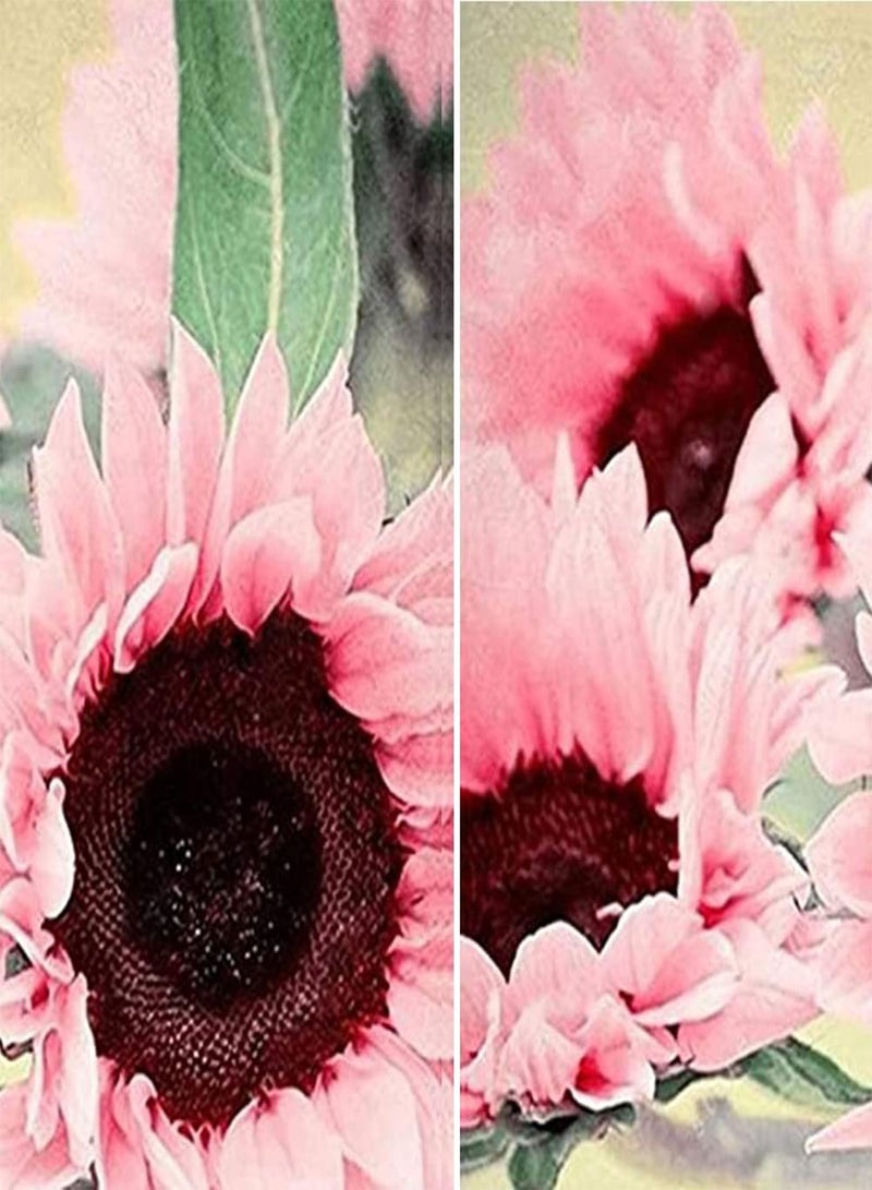 جي جوت مجموعة أدوات حديقة منزلية من ١٠٠ بذور دوار الشمس وردية اللون | نباتات بونساي زينة لحديقة زهور دوار الشمس (١٠٠ بذور دوار الشمس) - Image 5