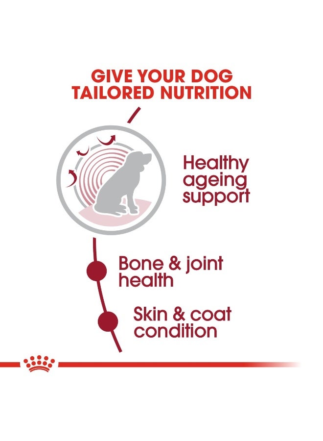 رويال كانين الحجم الصحة والتغذية متوسط ​​العمر 10+ 3 كجم - Image 4