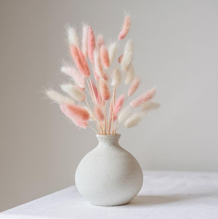 Tail Dried Pampas Grass (50-60 Stems) for Home & Office Decor Natural Dried Pampas Grass, Decoration - Boho, Wedding Flower Arrangement, Home Decor (Pink&White)