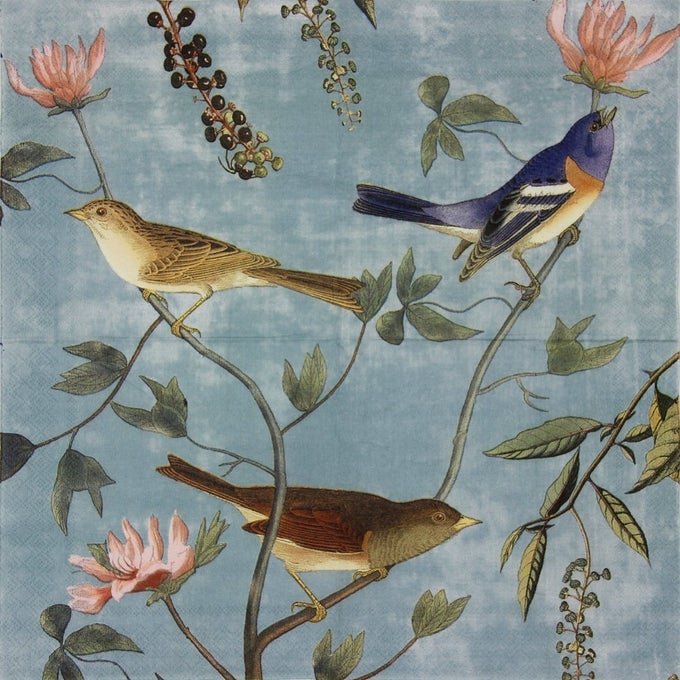 DECOUPAGE PAPER NAPKINS LUNCHEON TEA PARTY NAPKINS SERVIETTES PRINTED BIRDS 20 COUNT 2PLY 13 X 13 INCH