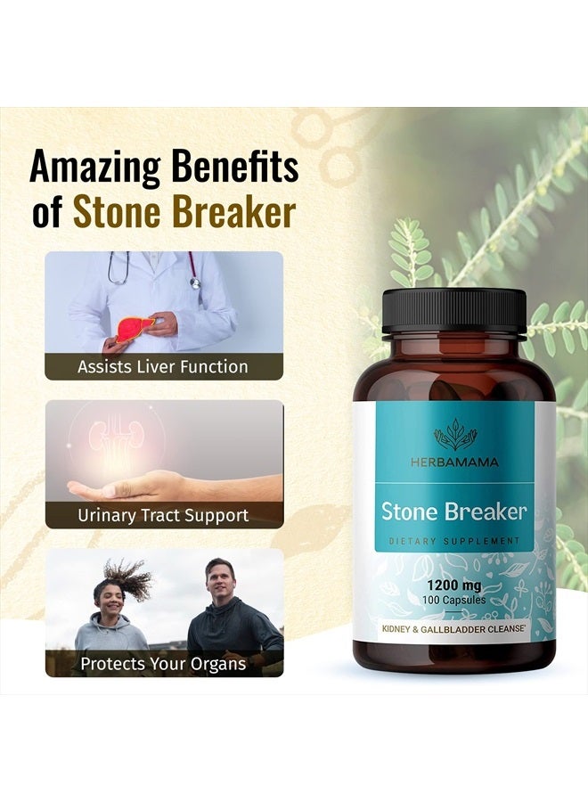 HERBAMAMA Stone Breaker Chanca Piedra Pills - Organic Chanca Piedra Stone Breaker Kidney Stones Dissolver - Kidney & Gallbladder Cleanse - 1200mg, 100 Capsules - Image 4