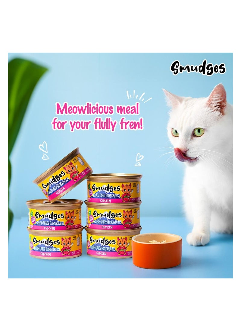 Adult Cat wet food with Chicken Flakes in Gravy 80g- Pack of 24 - pzsku/ZE4839CA64324C4991DFEZ/45/_/1732715966/15cbcd05-541c-4aa6-af10-6f0949f85da7