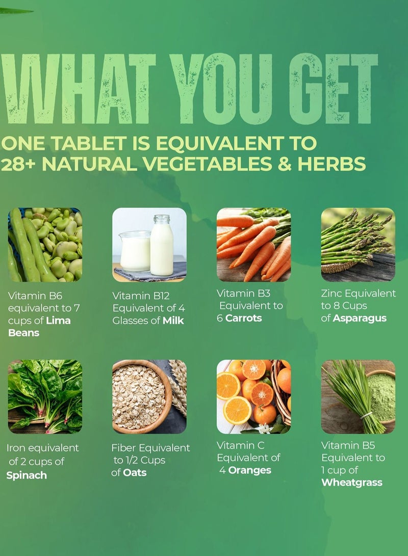 Makalu Bryogreens 28+ Organic Vegetables Dietary 15 Effervescent Tablets with 100% Organic Vegetables & Herbs|100% Vegan, Gluten Free, Sugar Free|Easy To Consume(PACK OF 1)