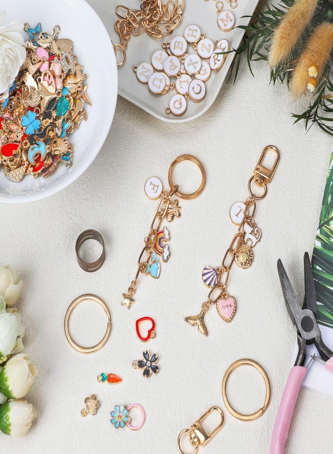 Starry 223Pcs Keychain Making Kit Bag Charm Kit 86 Charms 10 Keychain Clips with Key Ring Jewelry Plier,15 Extender Chain Swivel Snap Hooks Gold Charms 100 Jump Ring DIY Craft Supplies - Image 4