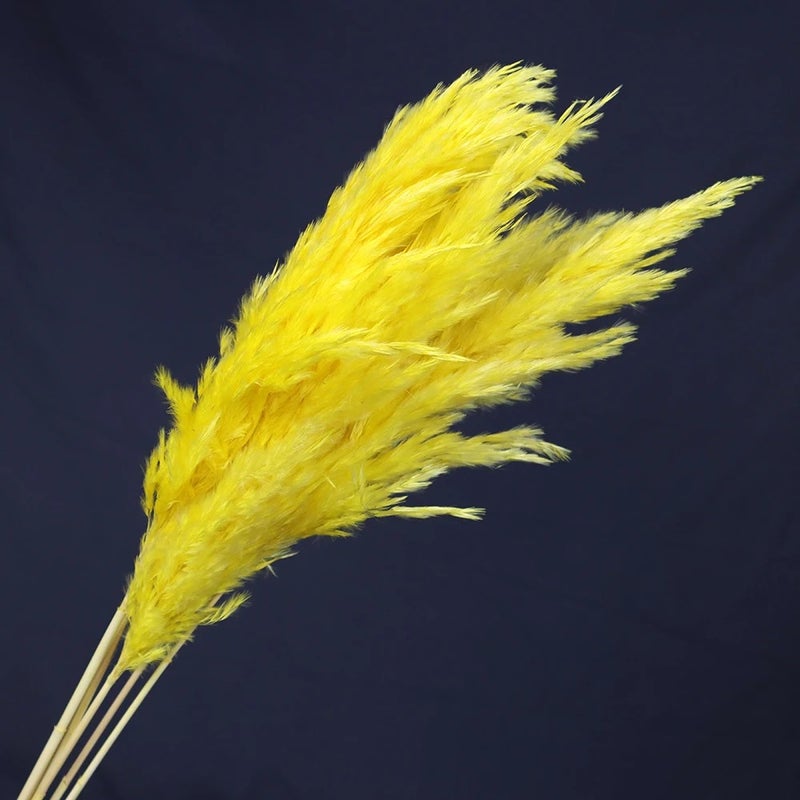 Bluejw Natural Dried Pampas Grass Bouquet - Fluffy Mini Reed Flowers Decor, Dried Plants Arrangement - Image 1