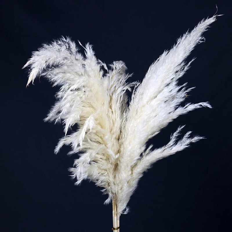 Bluejw Natural Dried Pampas Grass Bouquet - Fluffy Mini Reed Flowers Decor, Dried Plants Arrangement - Image 3