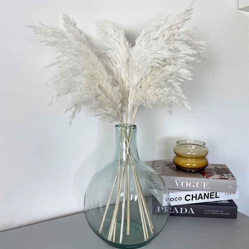 Bluejw Natural Dried Pampas Grass Bouquet - Fluffy Mini Reed Flowers Decor, Dried Plants Arrangement - Image 2