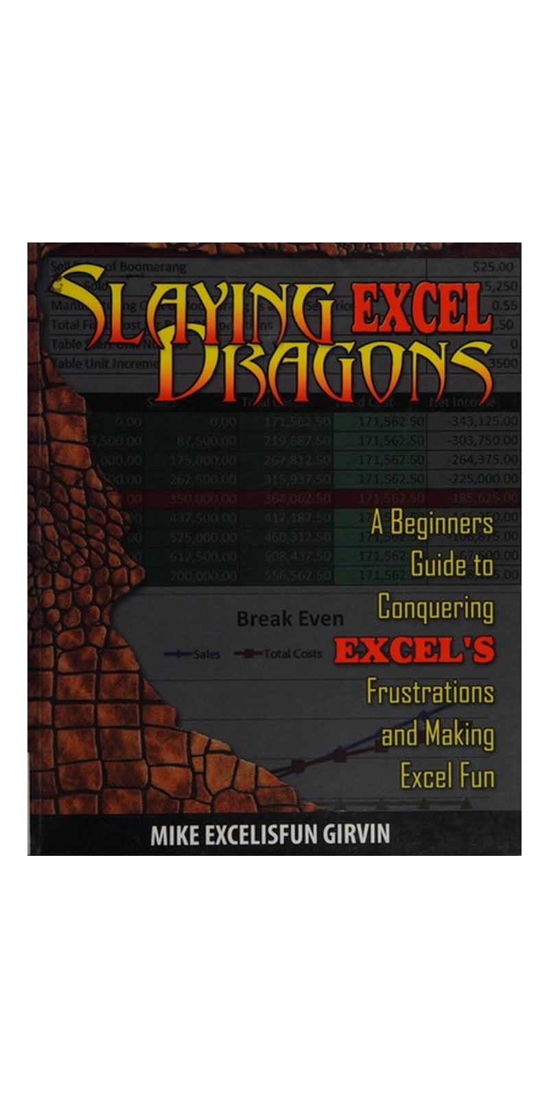Slaying Excel Dragons: A Beginners Guide To Conquering Excel'S Frustrations And Making Excel Fun Paperback – 21 February 2011