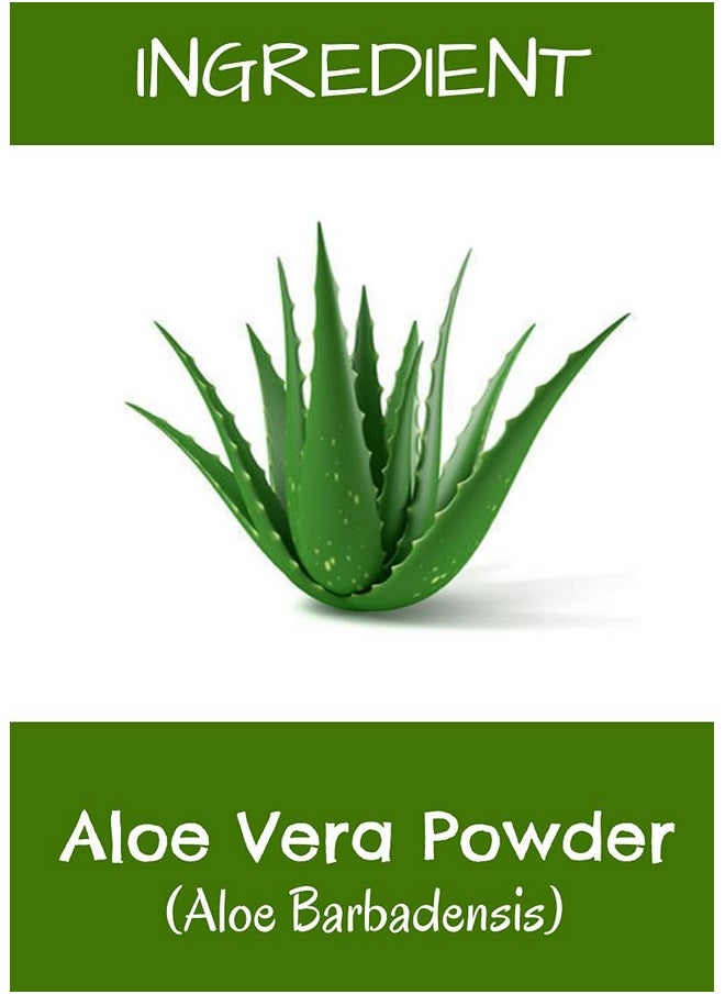 MR Ayurveda Aloe Vera Powder | Aloe Vera Powder For Face | Aloe Vera Powder For Skin | Aloe Vera Powder Organic | Aloe Vera Powder For Hair, 100 Grams  - Image 1