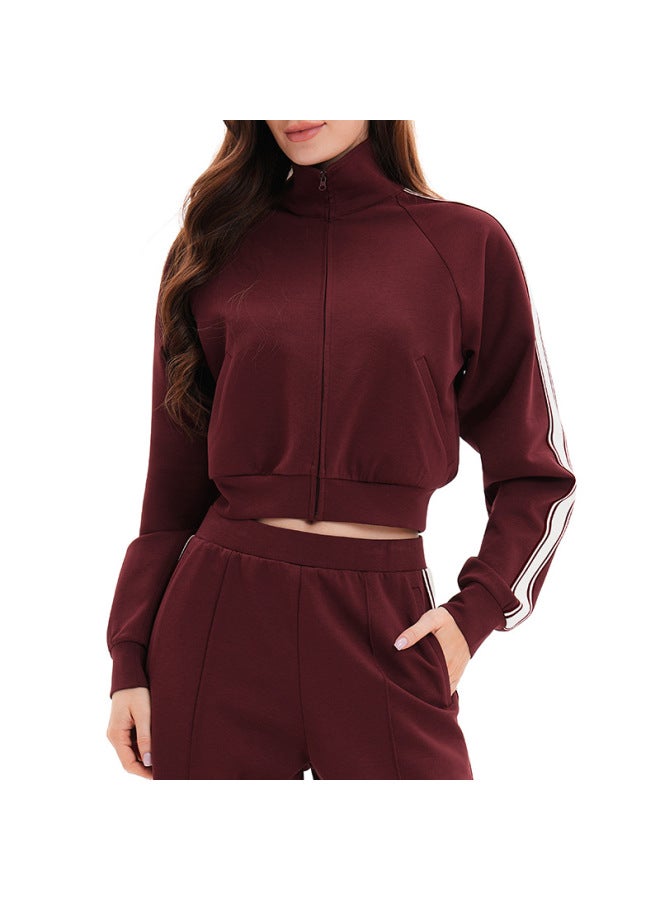 Color-blocking Sweatshirt Jacket With High Collar, Windproof Zipper Pockets, Thick Sweatshirt For Outdoor Sports And Cycling 2519