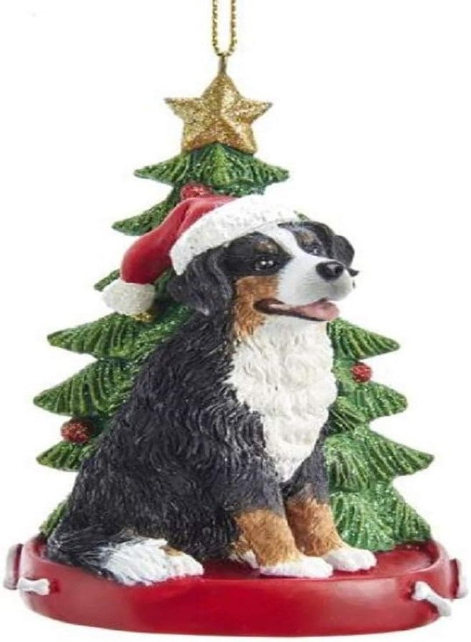 Bernese Mountain Dog Wearing Santa Hat with Christmas Tree Ornament E0369BM New