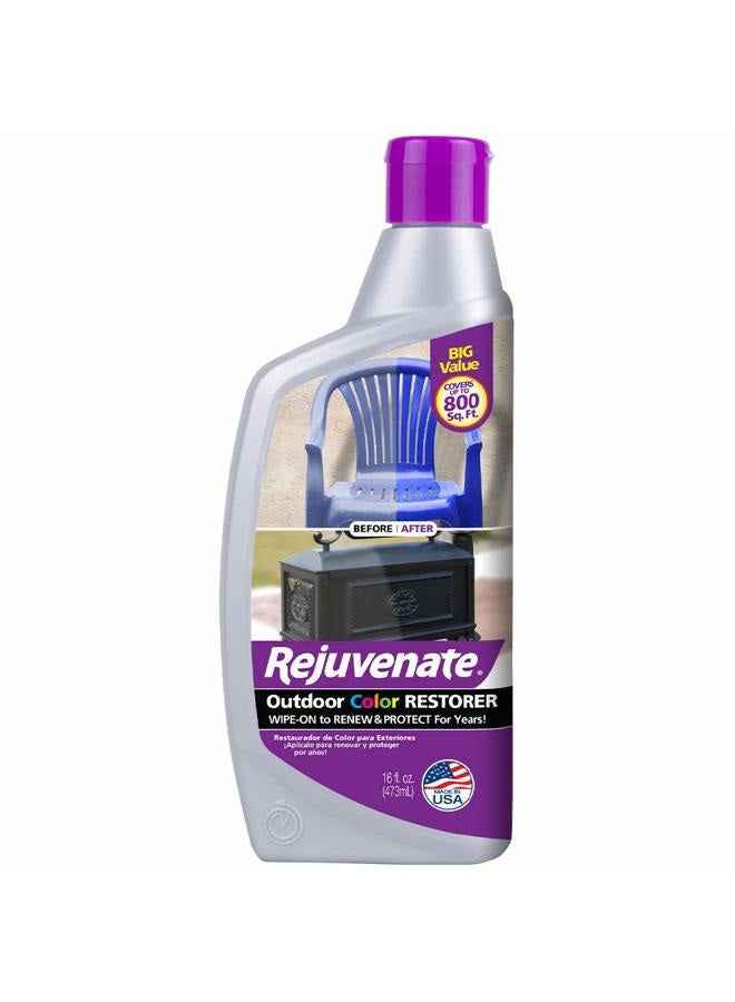 Rejuvenate مستعيد الألوان الخارجي يستعيد على الفور الأغراض المتلاشيّة المتضررة من الشمس والأكسدة ويحمي من التآكل المستقبلي 16 أونصة - Image 1