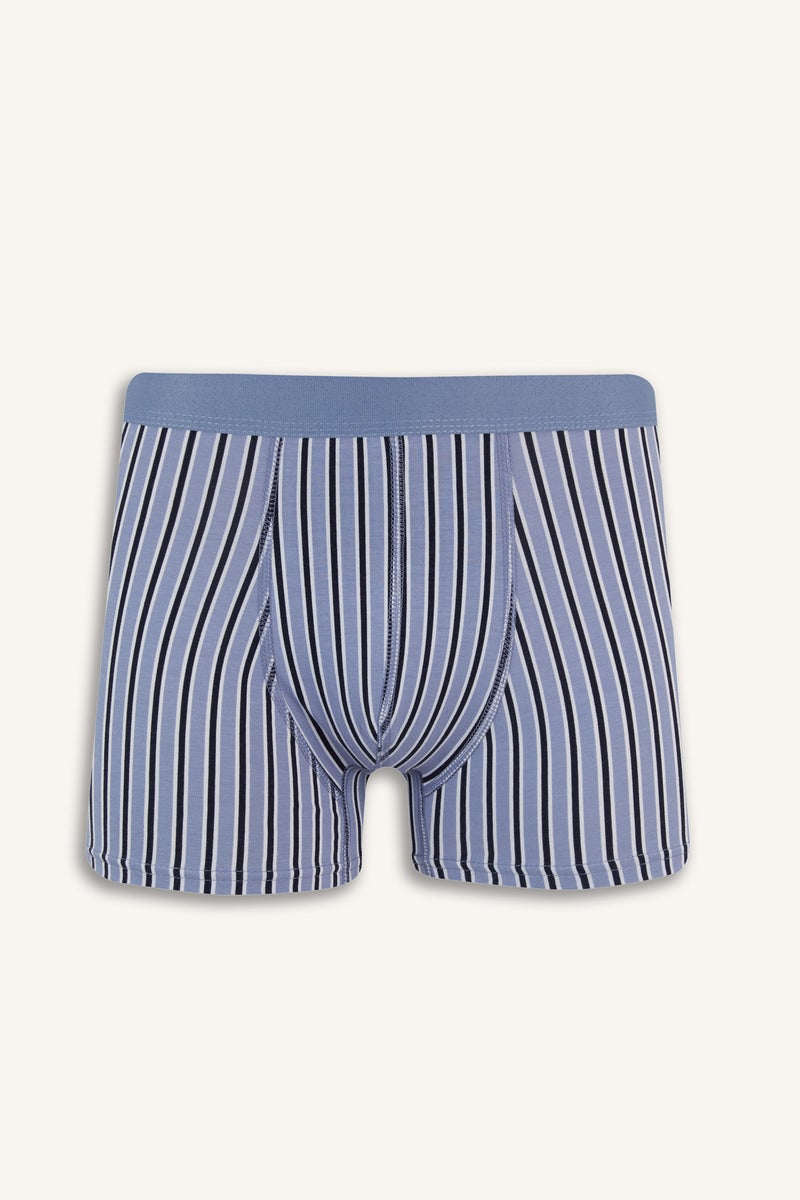 DeFacto Man Regular Fit Striped 3 Pack Boxer Shorts - Image 3