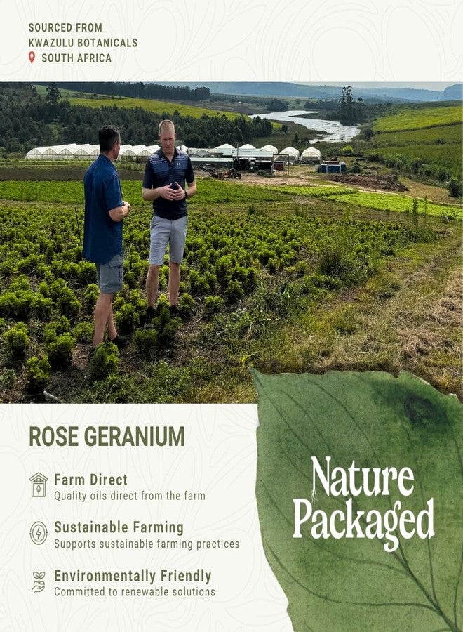 Nature Packaged Rose Geranium Essential Oil - Direct from Kwazulu Botanicals in South Africa- Organic Essential Oils for Body, Diffusers, or Aromatherapy | Pure Therapeutic Grade (5ml) - Image 3