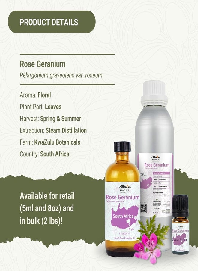 Nature Packaged Rose Geranium Essential Oil - Direct from Kwazulu Botanicals in South Africa- Organic Essential Oils for Body, Diffusers, or Aromatherapy | Pure Therapeutic Grade (5ml) - Image 5