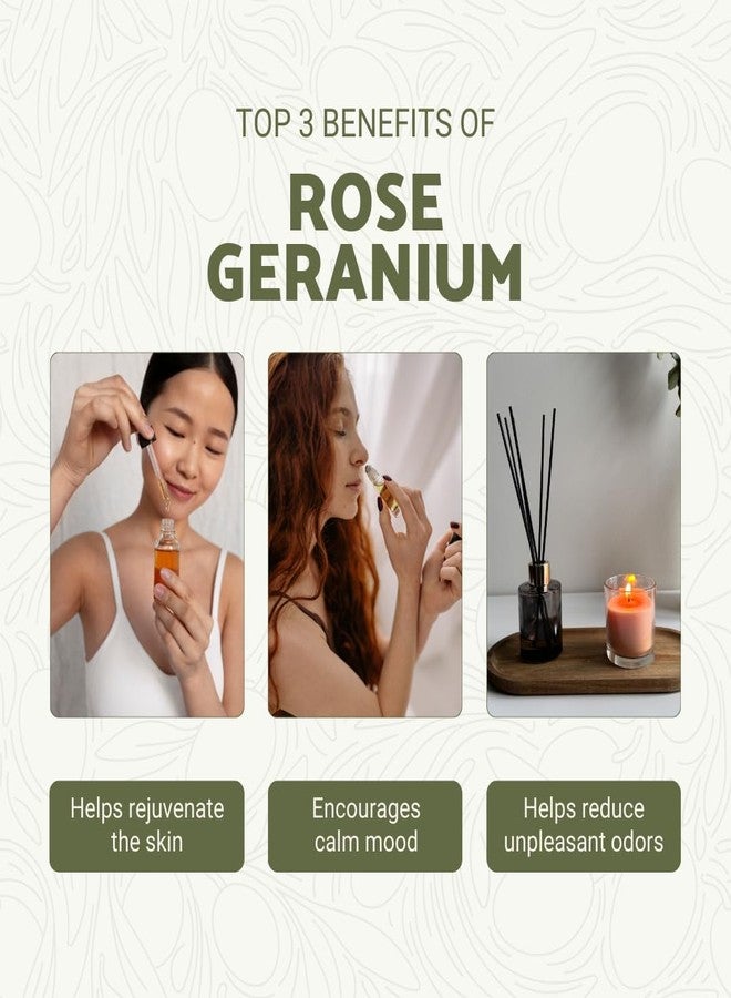 Nature Packaged Rose Geranium Essential Oil - Direct from Kwazulu Botanicals in South Africa- Organic Essential Oils for Body, Diffusers, or Aromatherapy | Pure Therapeutic Grade (5ml) - Image 2
