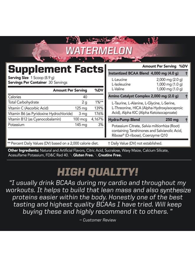 PMD - Sports BCAA Stim-Free Amino Acids - Better Workout Performance, Enhanced Recovery, Daily Energy, Muscle Builder, and Muscle Sparing - BCAA Powder Drink Mix - Watermelon (30 Servings) - Image 1