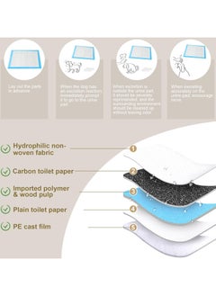 BLOOMING TIME 40pc Portable Ultra-Absorbent Disposable Dog Training Pee Pads (60x60cm)  - Image 2