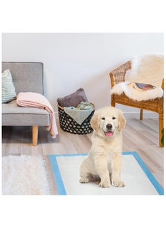 BLOOMING TIME 40pc Portable Ultra-Absorbent Disposable Dog Training Pee Pads (60x60cm)  - Image 4