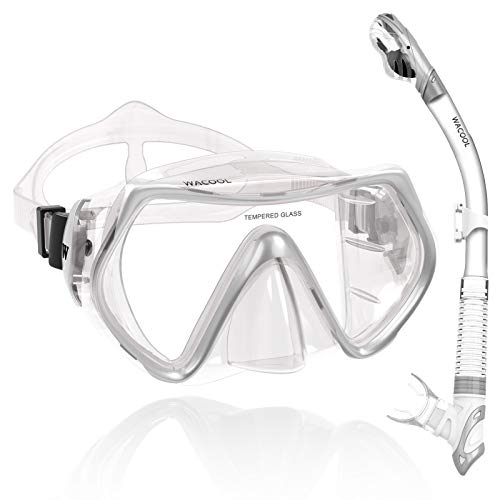 WACOOL Professional Snorkeling Snorkel Diving Scuba Package Set with Anti-Fog Coated Glass Purge Valve and Anti-Splash Silicon Mouth Piece for Men Women (Adults,Silver) - Image 1