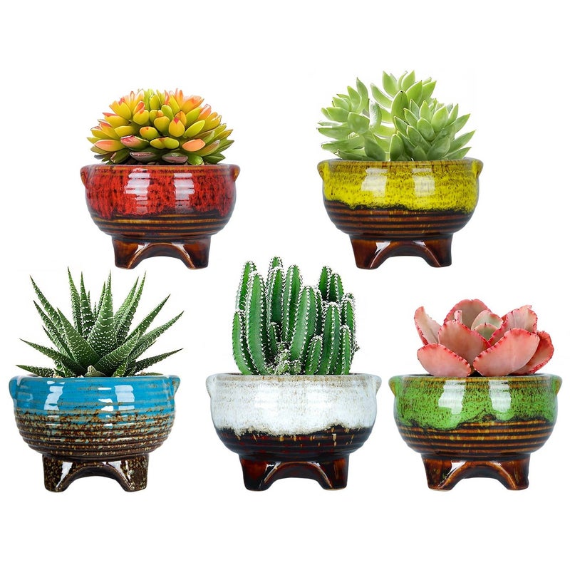 ARTKETTY Succulent Pots 4 Inch Small Plant Pots with Drainage Pack of 5 Ceramic Pots for Indoor Plants Colorful Cactus Flower Planter Container