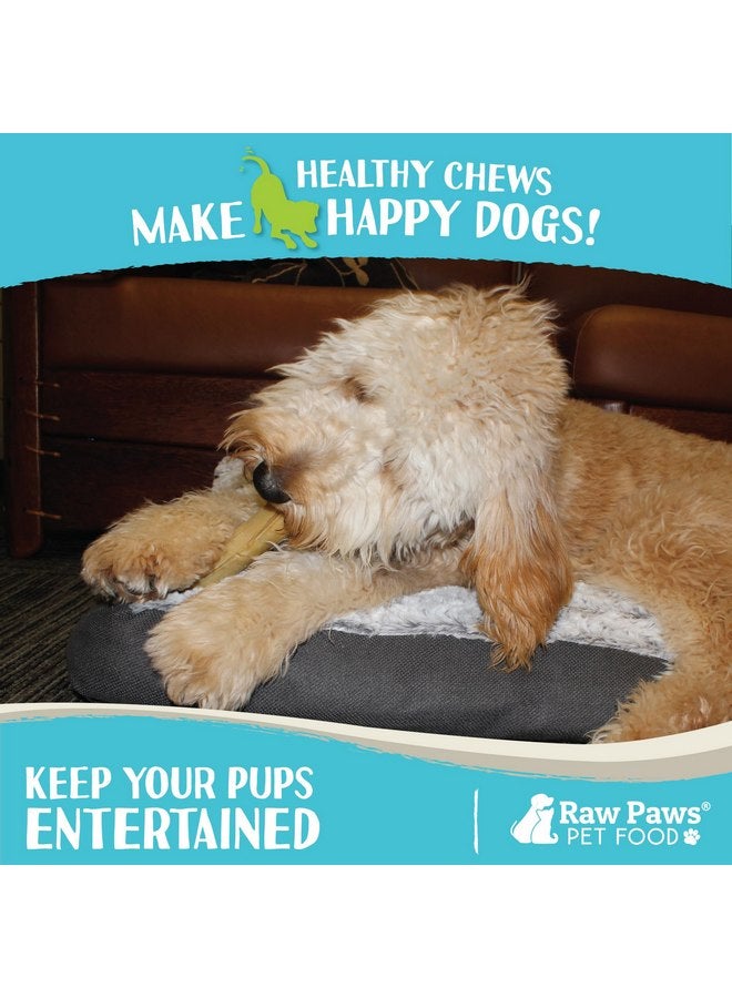 Raw Paws 5-inch Compressed Rawhide Rolls for Dogs, 10-ct - Packed in The USA - Pressed Rawhides for Dogs - Free-Range Raw Dog Hide Chews - Natural Rawhide Dog Chew Sticks for Puppies & Small Dogs - Image 2