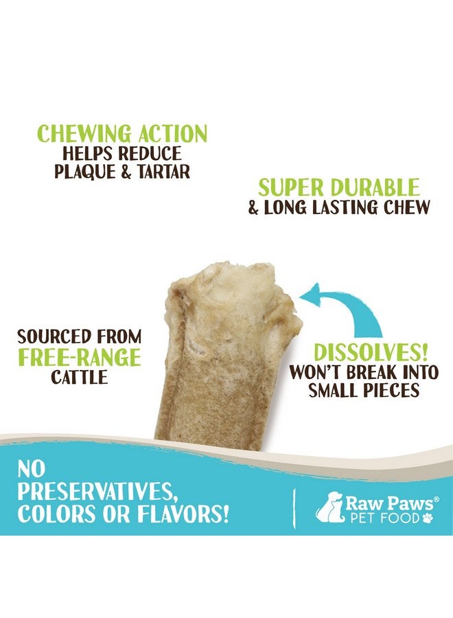 Raw Paws 5-inch Compressed Rawhide Rolls for Dogs, 10-ct - Packed in The USA - Pressed Rawhides for Dogs - Free-Range Raw Dog Hide Chews - Natural Rawhide Dog Chew Sticks for Puppies & Small Dogs - Image 1