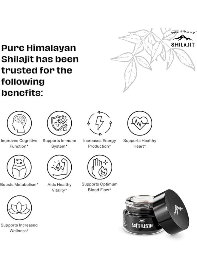 Pure Himalayan Shilajit, Soft Resin, Ayurvedic Rasayana Rejuvenation, Natural Source of Fulvic Acid, Includes Measuring Spoon - 15 ml / 0.5 fl oz (Pack of 1) - Image 4