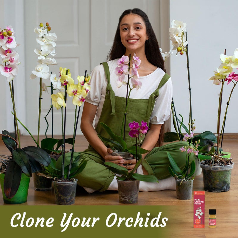 Miracle Lab Keiki Cloning Paste Special Cytokinin Formula Gives a New Baby Orchid (Keiki) in Weeks-Can Be Used on All Kinds of Orchids and Also House Plants (1 Pack) - Image 4