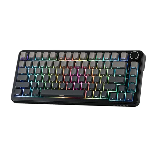 MechLands AJAZZ AK820 MAX HE Hall Effect Magnetic Gaming Keyboard, Adjustable Actuation, 8KHz Polling Rate, Wired Rapid Fast Keyboard, Creamy Gasket, RGB Backlight, NKRO for Win/Mac (Gradient Grey) - Image 1