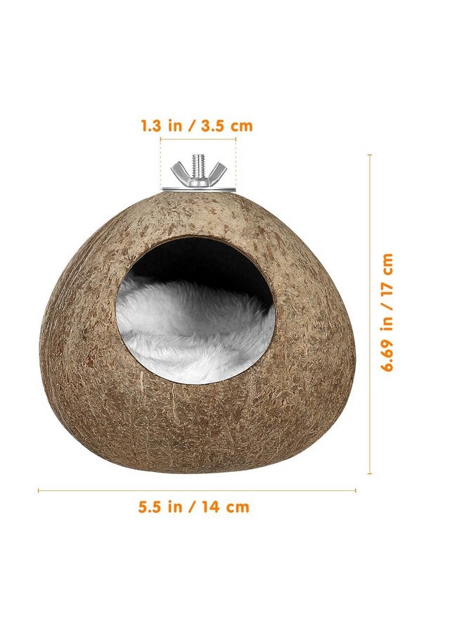 بو بيت بوب بيت طيور معلق من ألياف جوز الهند الطبيعي للقفص - عش طيور أليف من قشر جوز الهند، عش معلق لتربية الطيور للببغاوات والبادجي والطيور العاشبة والكناري - Image 4