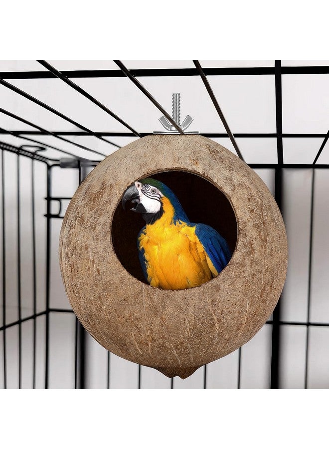بو بيت بوب بيت طيور معلق من ألياف جوز الهند الطبيعي للقفص - عش طيور أليف من قشر جوز الهند، عش معلق لتربية الطيور للببغاوات والبادجي والطيور العاشبة والكناري - Image 2