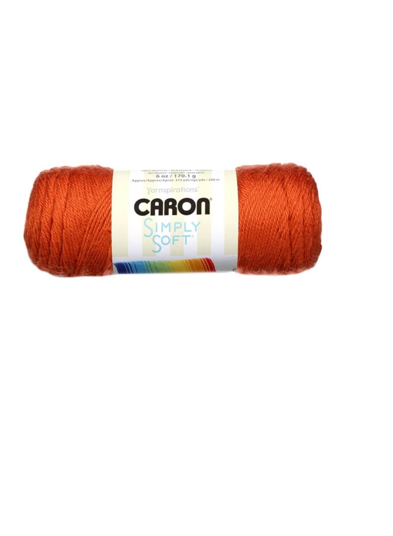 CARON Simply Soft Solids Yarn Pumpkin - Image 2