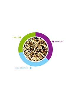 Padovan NaturalMix Canarini Bird Food - 1KG  - Image 2