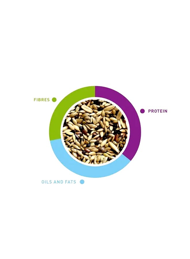Padovan NaturalMix Canarini Bird Food - 1KG - Image 2
