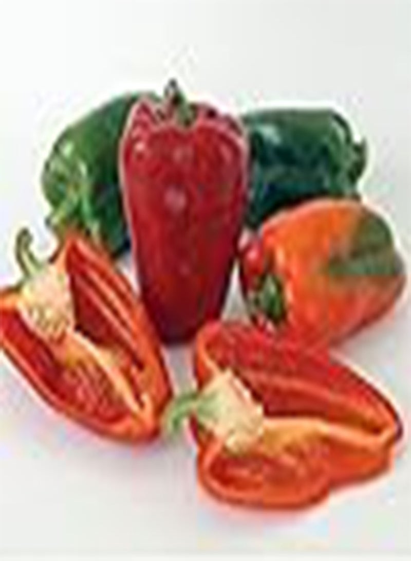 GGOOT Bell Ace 9711 (Red) 25 Non-GMO, Hybrid Seeds - Image 1
