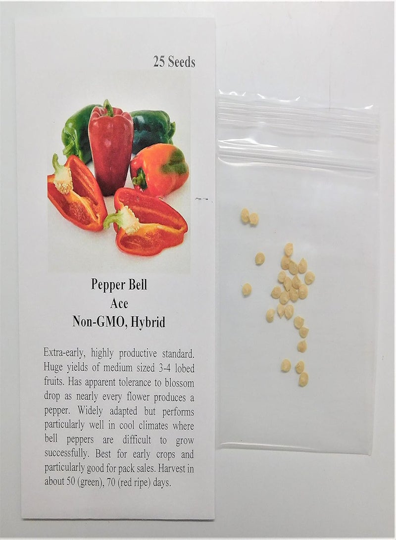GGOOT Bell Ace 9711 (Red) 25 Non-GMO, Hybrid Seeds - Image 2