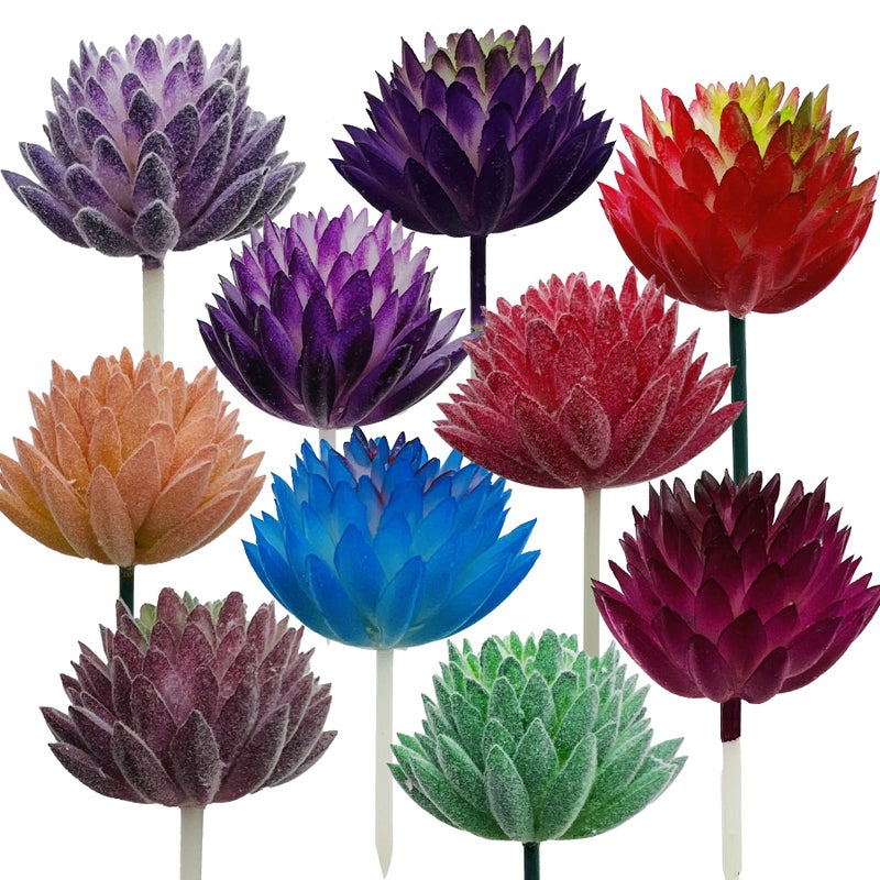 Cayway 10 PCS Artificial Succulent Plants Mixed Color Artificial Succulents Picks for Indoor and Outdoor Home Decor Floral Arrangements