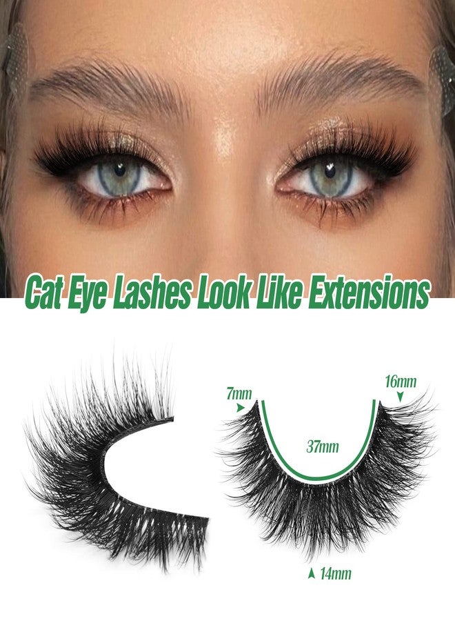 zanlufly Russian Strip Lashes Cat Eye Mink Lashes Natural Wispy Eyelashes zanlufly D-Curly Volume False Eyealshes Clear Band Volume Natural Look Fake Lashes that Look Like Extensions Eye Lashes Pack - Image 2