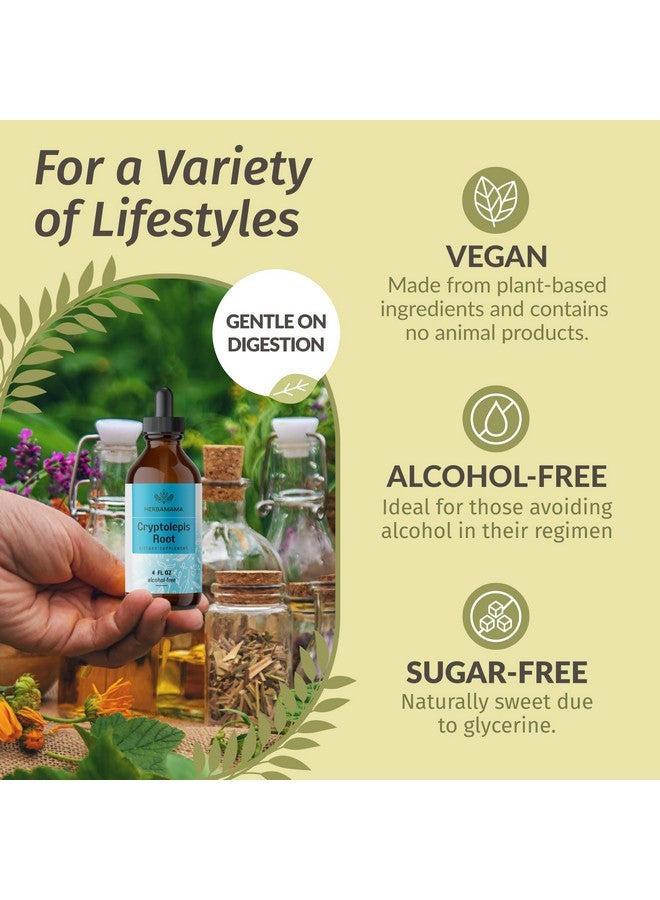 HERBAMAMA Cryptolepis Tincture - Vegan Cryptolepis Sanguinolenta Immune Support Supplement for Overall Detox - Non-GMO, Alcohol & Sugar-Free Immunity Drops, 56-Day Supply - Image 5
