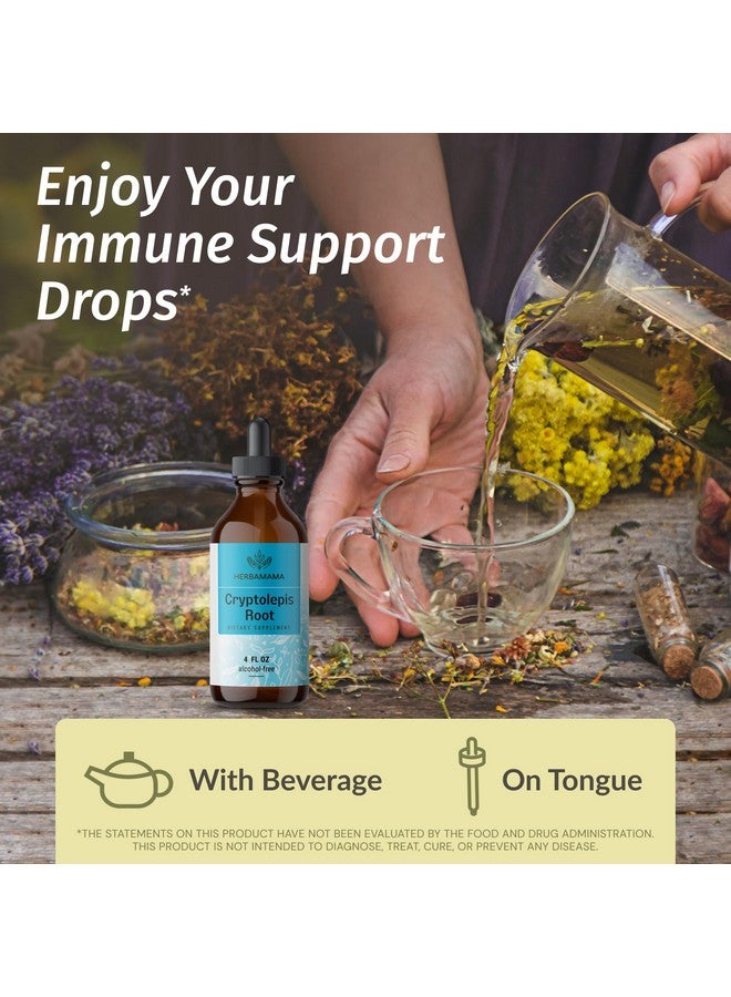 HERBAMAMA Cryptolepis Tincture - Vegan Cryptolepis Sanguinolenta Immune Support Supplement for Overall Detox - Non-GMO, Alcohol & Sugar-Free Immunity Drops, 56-Day Supply - Image 2