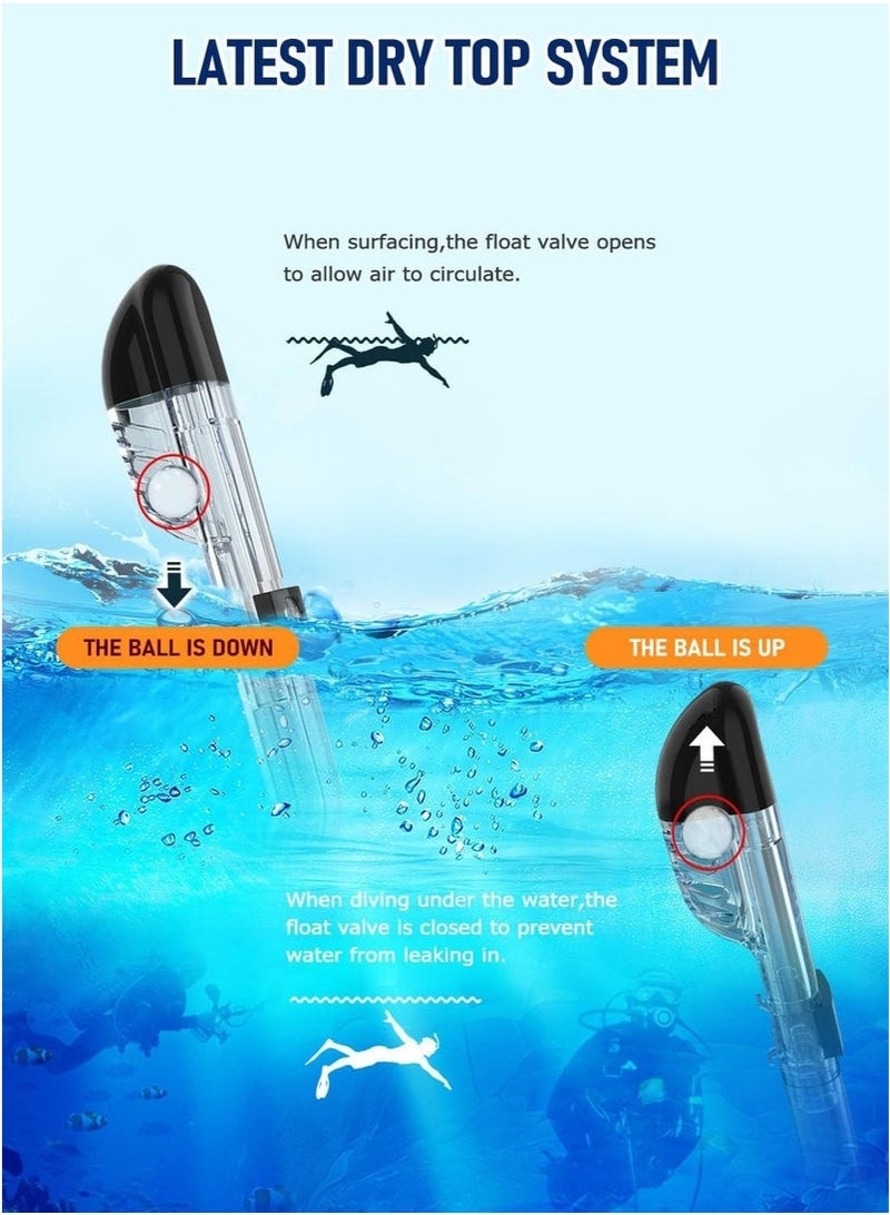 كِينْسُون قناع الغطس، قناع الغوص، نظارة غطس زجاجية من السيليكون، مضادة للضباب ومقاومة للتسرب، مع حامل للكاميرا، نظارات غطس وغوص بانورامية قابلة للطي 180 درجة، نظارات سباحة للبالغين والمراهقين، للغوص والغطس والسباحة - Image 5