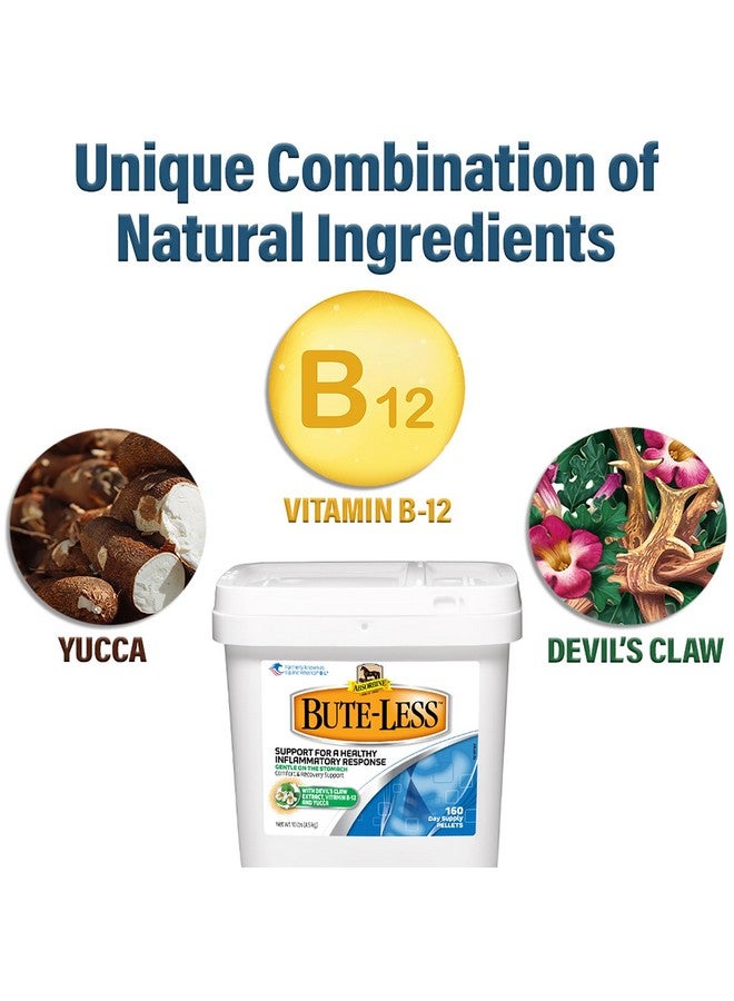 Absorbine ButeLess Comfort & Recovery Support Supplement, Provides LongTerm Comfort, Gentle On Stomach, Includes Devil’S Claw, Vitamin B12, Yucca, 10 Lb / 160 Day Supply - Image 3